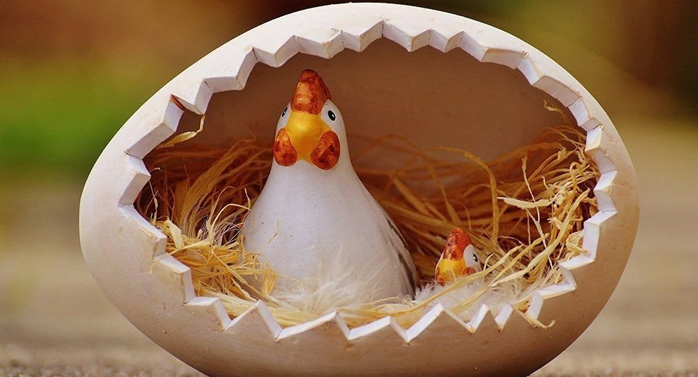 ¿Qué fue primero: el huevo o la gallina? 6 ¿Qué fue primero: el huevo o la gallina? | 6