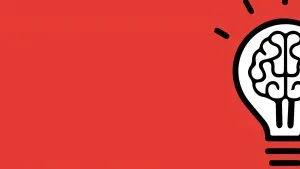 Página Principal | 28