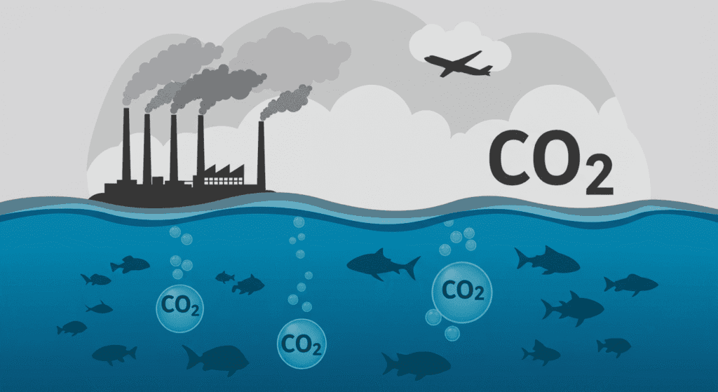 ¿Qué es la acidificación de los océanos y por qué debería preocuparnos? 3 Ilustración del impacto de las emisiones de CO2 de fábricas y aviones en el océano y la vida marina. Contaminación y acidificación oceánica representadas visualmente.