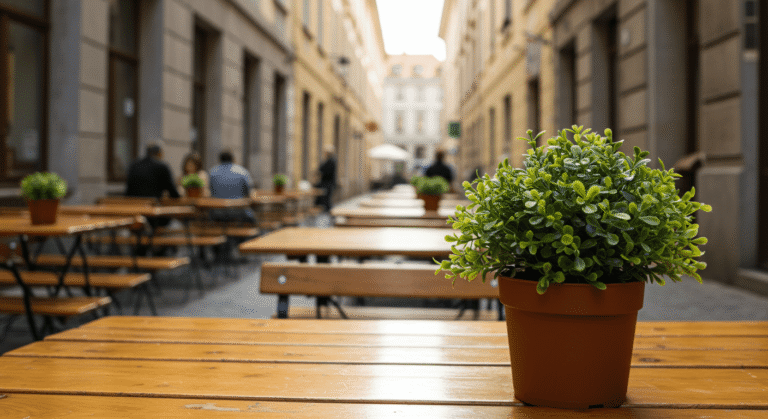 Cafetería calle planta. Imagen de mesas de un café al aire libre con una planta en primer plano. Ambientes urbanos y hostelería.
