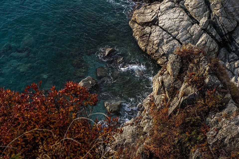 Hipótesis Gaia: ¿Es la Tierra un Ser Vivo? 6 Vista superior de costa rocosa con agua turquesa y vegetación otoñal. Paisaje marino con acantilados de piedra y mar cristalino.