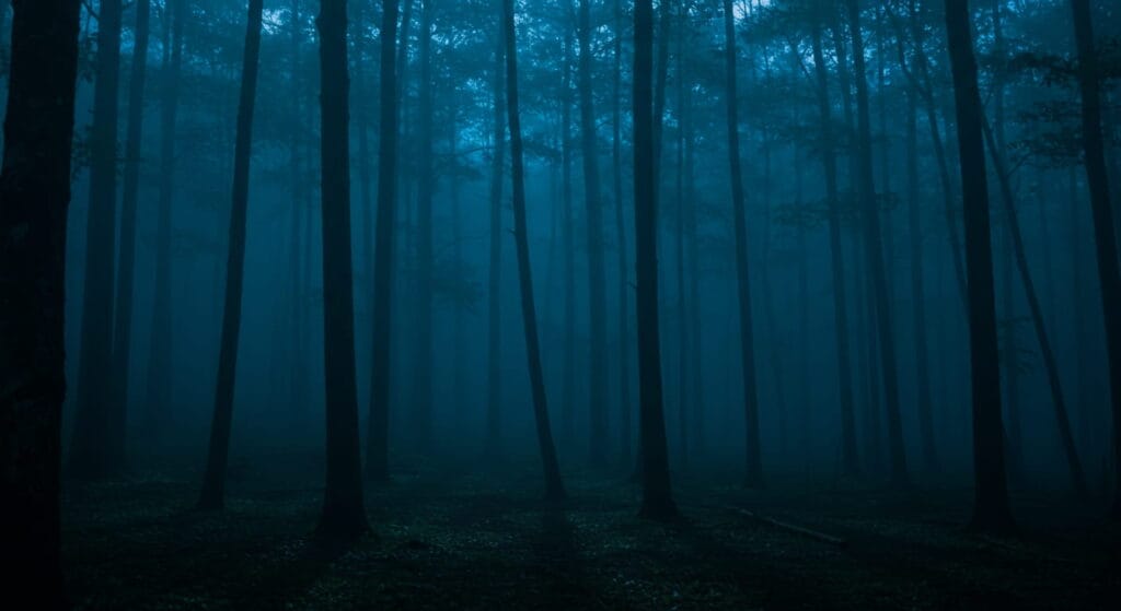 Lugares prohibidos donde el terror es real 8 Bosque oscuro y denso durante la noche, con árboles altos y delgados envueltos en una niebla azul verdosa que crea una atmósfera misteriosa y escalofriante. La luz tenue se filtra entre los árboles, proyectando sombras suaves en el suelo cubierto de vegetación dispersa.