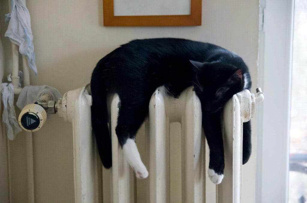 ¿Tiene Sentido el Cambio de Horario? Beneficios y Controversias 4 Gato blanco y negro descansando sobre un radiador en un interior cálido y acogedor.