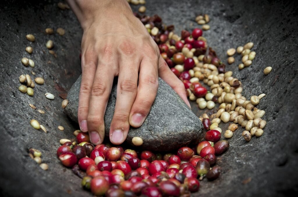 6 Cosas que Probablemente No Sabías sobre el Café (Pero Deberías Saber) 3 Mano procesando cerezas de café en una base de piedra, revelando los granos en su interior. Método artesanal y tradicional.