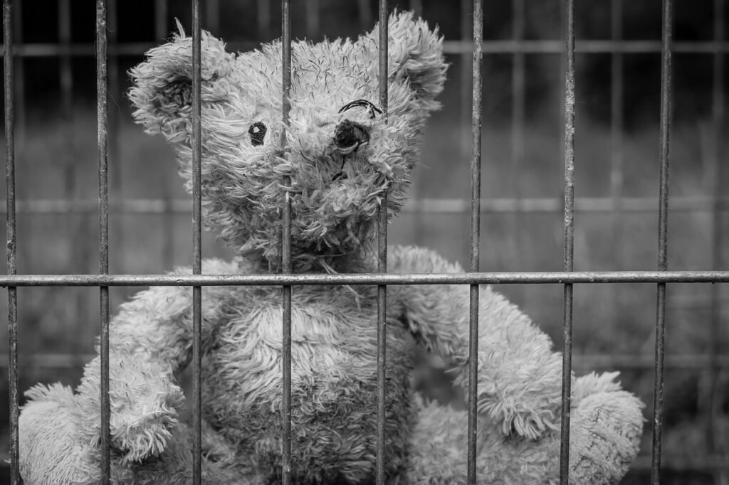 Pena de Muerte: Orígenes, Métodos y su Impacto en la Sociedad 3 Fotografía en blanco y negro de un oso de peluche desgastado detrás de una jaula metálica, con fondo borroso que sugiere un entorno exterior.