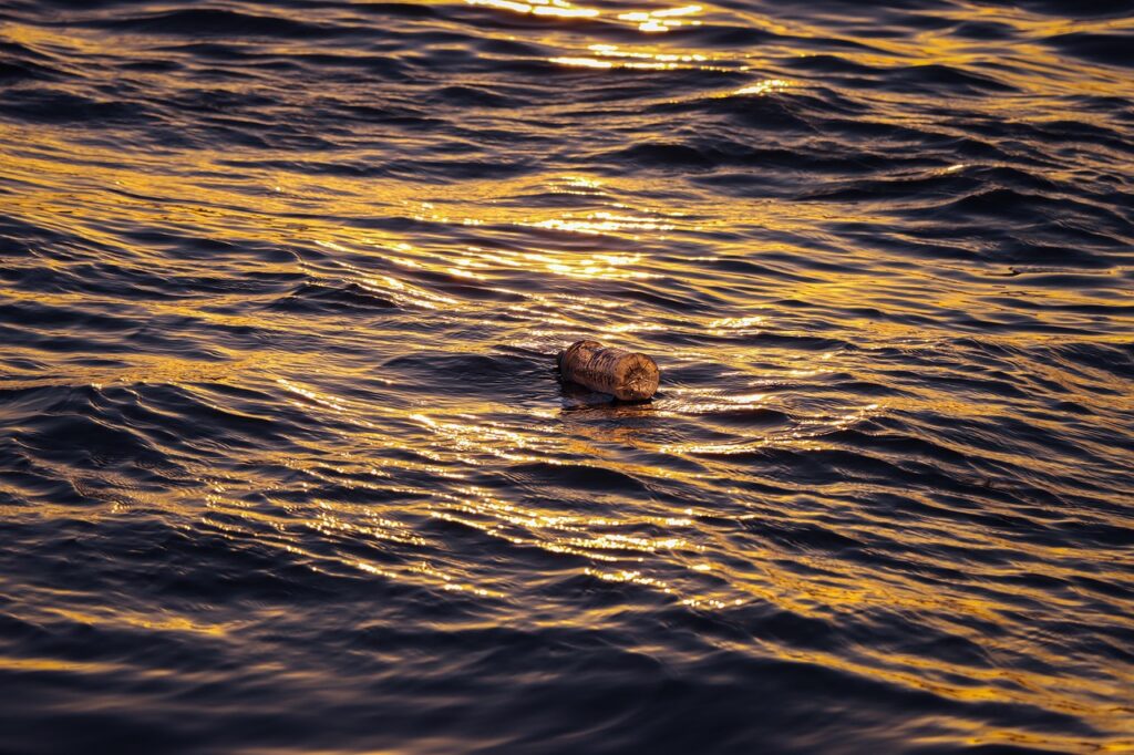 ¿Por qué flotan los barcos? 5 Botella de plástico flotando en el agua.