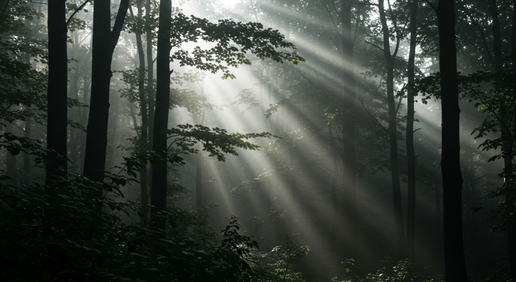 ¿Por qué sentimos miedo? La respuesta de la ciencia al instinto más antiguo 3 Bosque oscuro con rayos de luz entre los árboles. Paisaje misterioso y sombrío en la naturaleza.