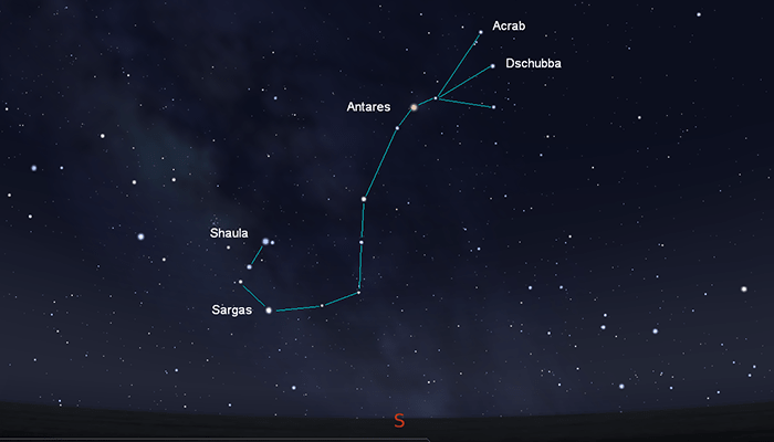 Cómo explorar el cielo nocturno: constelaciones y planetas a simple vista 4 Representación de la constelación de Escorpio (Scorpius) en un cielo nocturno estrellado. Se identifican las estrellas Antares, Acrab, Dschubba, Shaula y Sargas. Imagen para aprender sobre astronomía.