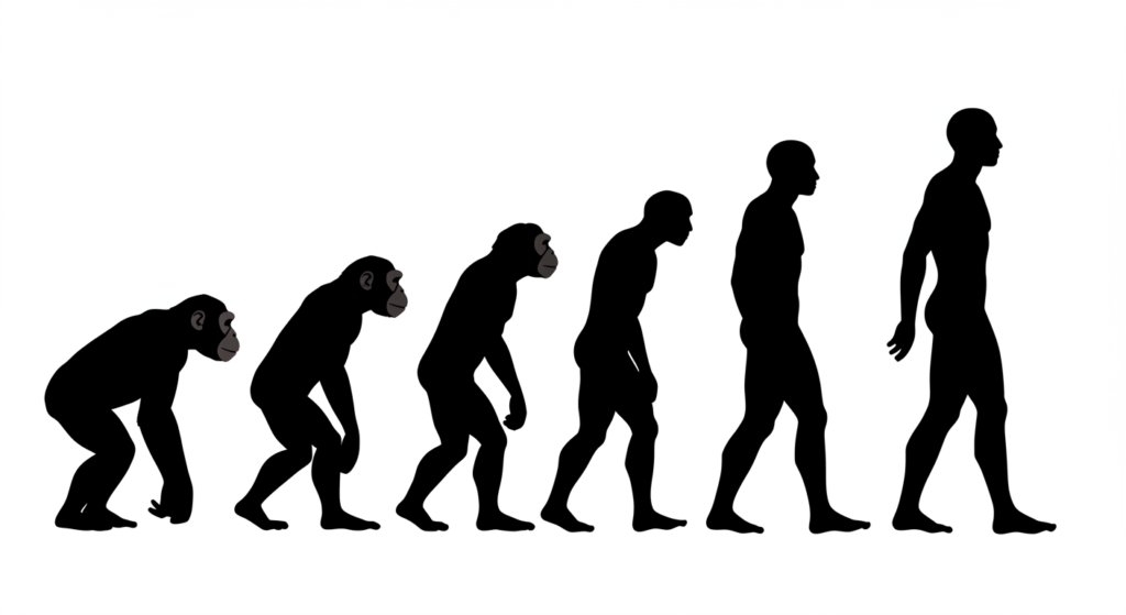 El lenguaje del cuerpo: cómo interpretar los gestos y expresiones 4 "Esquema gráfico en blanco y negro sobre la evolución del ser humano. Diagrama en el que se puede apreciar la evolución de los primates, desde el chimpancé al ser humano en diferentes pasos. "