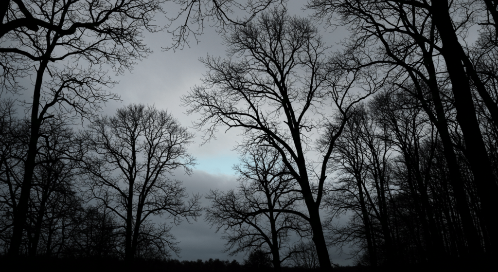 Lluvia ácida: Un fenómeno peligroso que afecta al planeta 2 "Siluetas de árboles sin hojas contra un cielo nublado y gris. Imagen de naturaleza muerta y ambiente sombrío."
