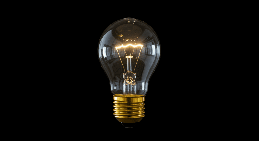 ¿Podemos Viajar a la Velocidad de la Luz? Lo Que Dice la Ciencia 6 Imagen de una bombilla incandescente brillante sobre fondo negro, simbolizando una idea o iluminación.