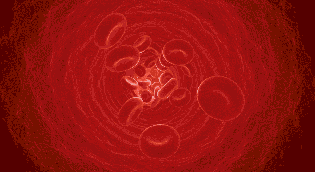 ¿Por Qué Existen Distintos Tipos de Sangre? Explicación Científica 6 "Ilustración de glóbulos rojos dentro de vaso sanguíneo. Representación científica de células sanguíneas en el torrente circulatorio. Ideal para medicina, biología y SEO."
