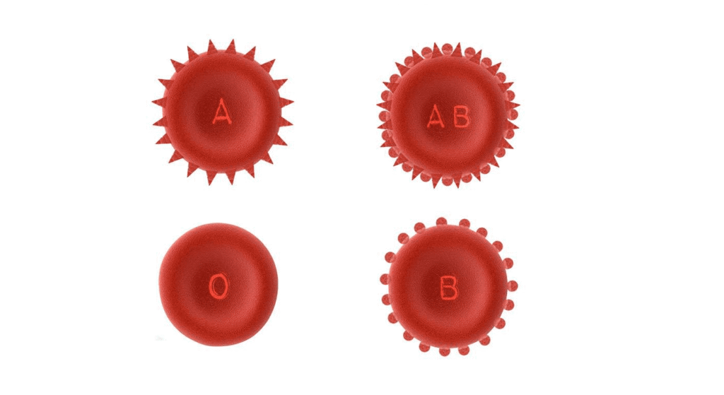¿Por Qué Existen Distintos Tipos de Sangre? Explicación Científica 3 "Ilustración de los grupos sanguíneos humanos A, B, AB y O. Representación gráfica con mano enguantada sosteniendo muestra de sangre. Ideal para medicina, ciencia y SEO."