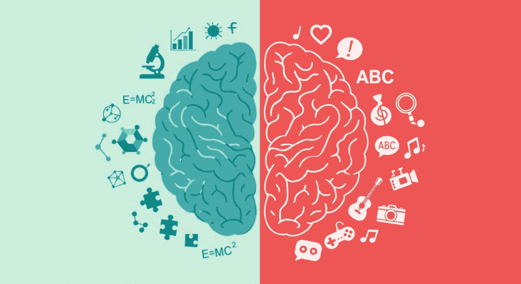 Zurdos vs. Diestros: ¿Qué dice la ciencia sobre sus diferencias? 4 Zurdos vs. Diestros: ¿Qué dice la ciencia sobre sus diferencias? | 3