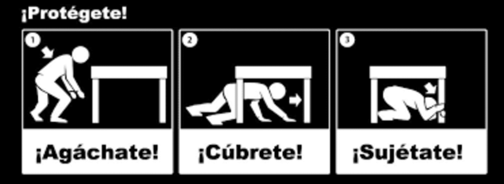 ¿Cómo Actuar Durante un Terremoto? Guía Rápida para Mantenerte Seguro 4 ¿Cómo Actuar Durante un Terremoto? Guía Rápida para Mantenerte Seguro | 2