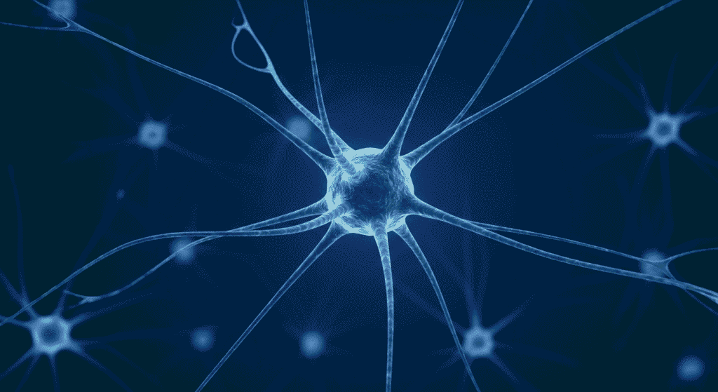 La Capacidad de Almacenamiento del Cerebro: Más Sorprendente de lo que Crees 5 Imagen digital de neuronas interconectadas en un fondo azul oscuro. Representación visual del sistema nervioso y la comunicación cerebral