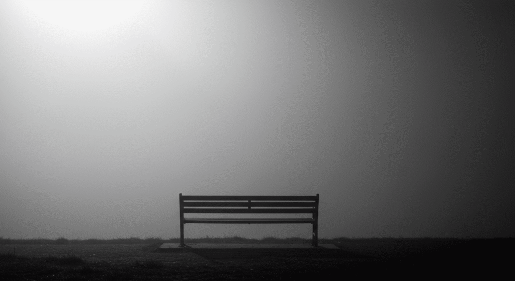 ¿Qué hay después de la muerte? Creencias, teorías y lo que dice la ciencia 4 Banco solitario en blanco y negro con niebla. Soledad, tranquilidad y paisaje minimalista.