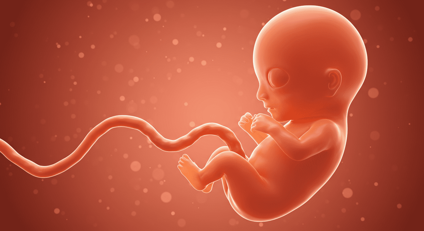 ¿Qué determina el sexo de un bebé? Ciencia y genética explicadas 4 ¿Qué determina el sexo de un bebé? Ciencia y genética explicadas | 1