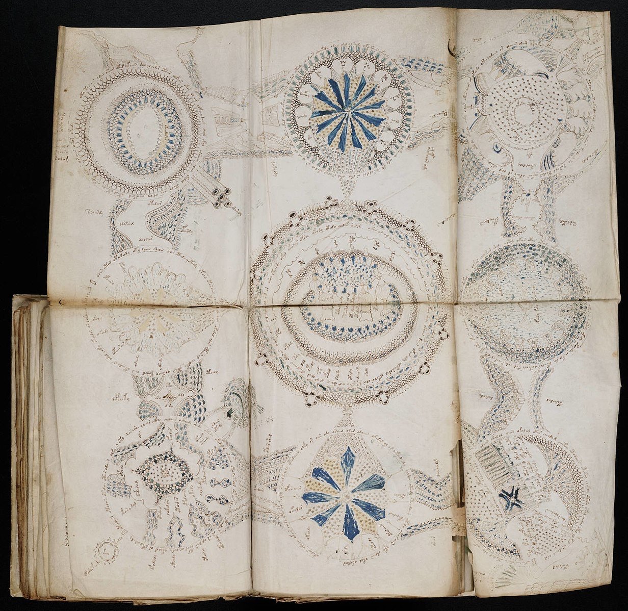 Manuscrito Voynich: el libro que nadie puede leer 2 Manuscrito Voynich: La «página de rosetas» desplegada