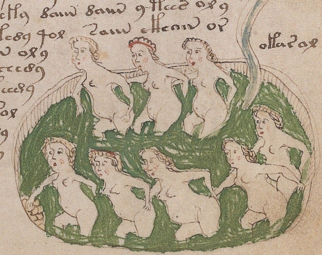 Manuscrito Voynich: el libro que nadie puede leer 5 Manuscrito Voynich: Detalle del f78r