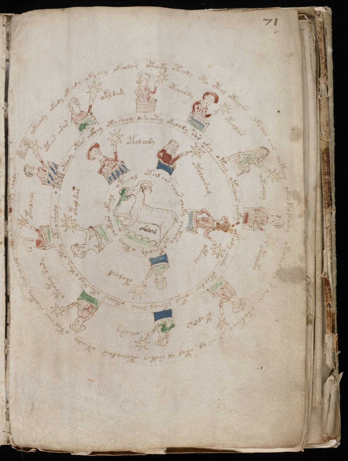 Manuscrito Voynich: el libro que nadie puede leer 6 Manuscrito Voynich: Vista del f71r, 'Aries'