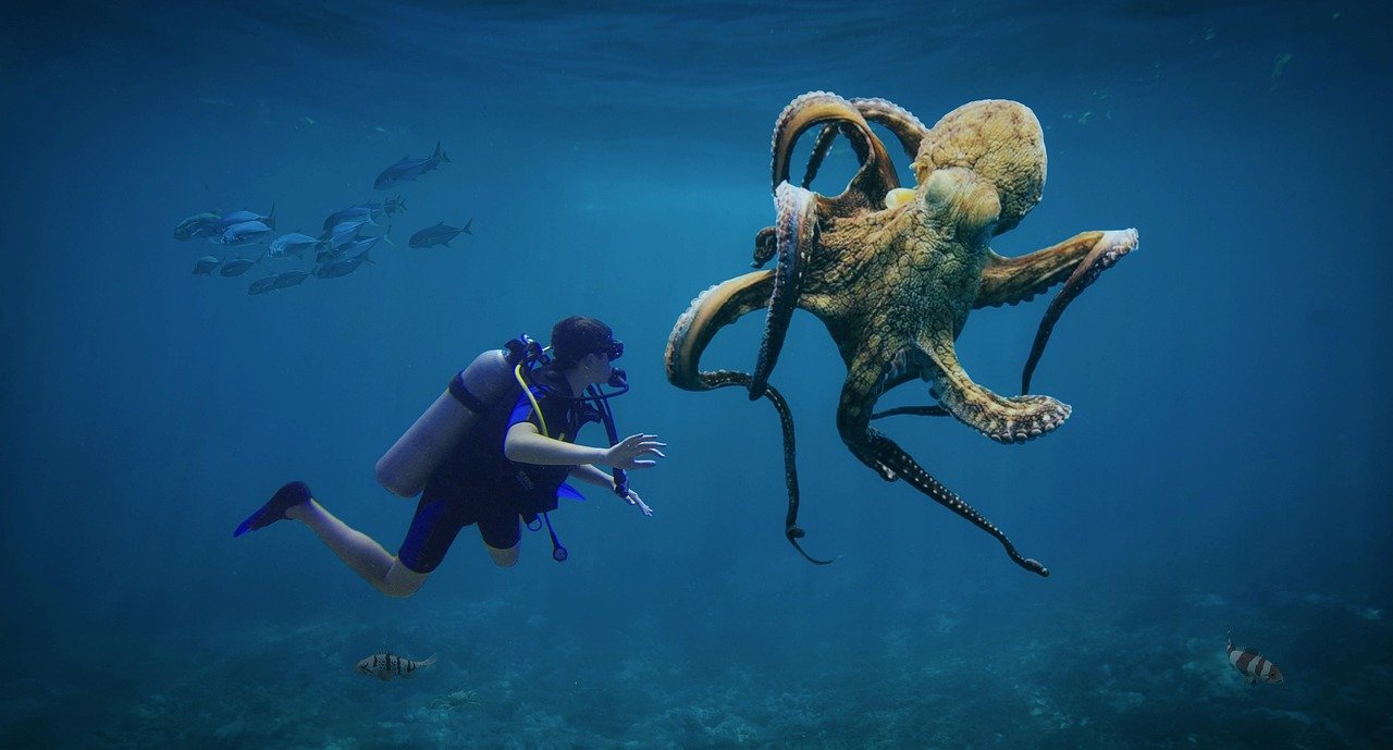 Curiosidades animales que parecen ciencia ficción 1 Pulpo gigante en el océano interactuando con buzo, ejemplo de curiosidades animales marinas