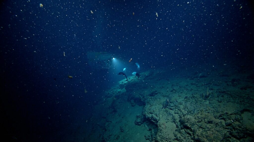 Entorno abisal oscuro con nieve marina